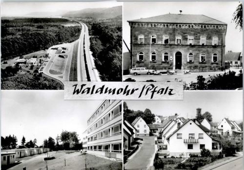 Waldmohr