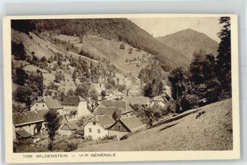 Wildenstein