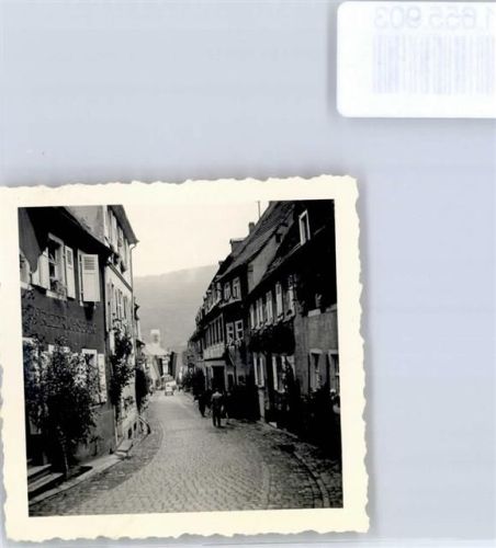 Neckargemünd Hortensienfest Hauptstraße Gasthaus Friedrichsburg