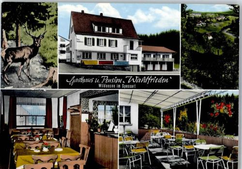 Wildensee Gasthaus Pension "Haus Waldfrieden"