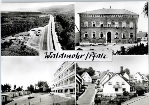 Waldmohr
