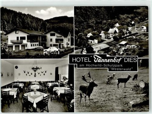 56412 W5431 Dies - Hotel Gasthaus Tannenhof