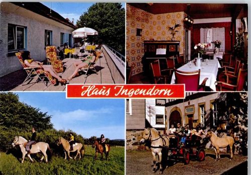 Gedern Pension Gasthaus Ingendorn Reiter Pferde