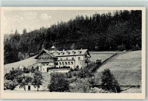 Bad Reinerz Schlesien Haus Lug ins Land Friedrich Emrich