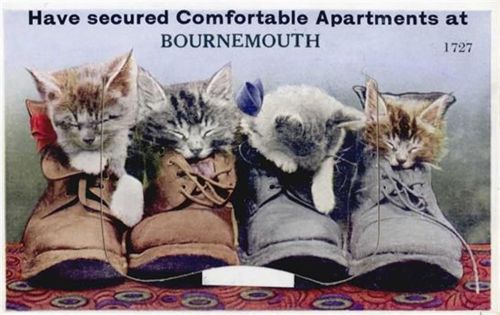 Bournemouth Bournemouth (Großbritannien) Leporello Katzen in Schuhen II (kleine Einrisse bei Leporello-Abdeckung)