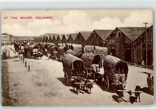 Colombo Hafen Ochsenkarren