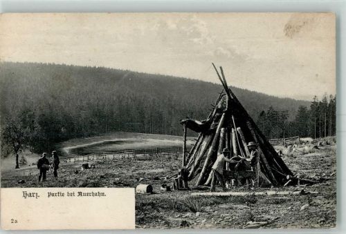 Auerhahn Holzhaufen Köhler
