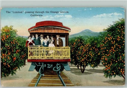 The Limited passing through the Orange Groves Orangenbäume Eisenbahn