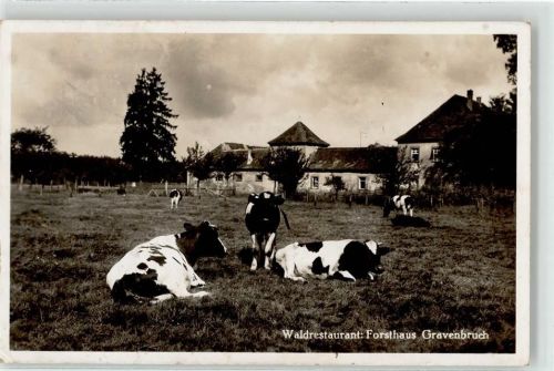 Gravenbruch Forsthaus Gravenbruch Gasthaus Kühe
