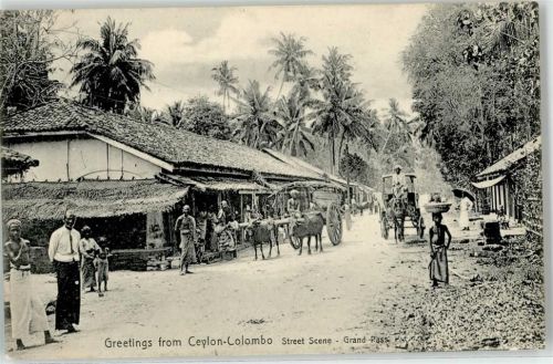 Colombo Straße Ochsenkarren