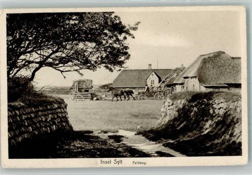 Sylt-Ost Feldweg Pferdewagen