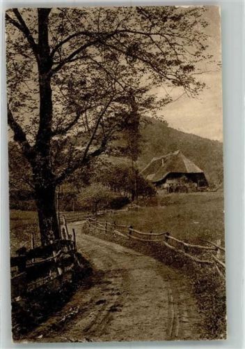 Gutach Schwarzwaldidyll Bauernhaus Weg