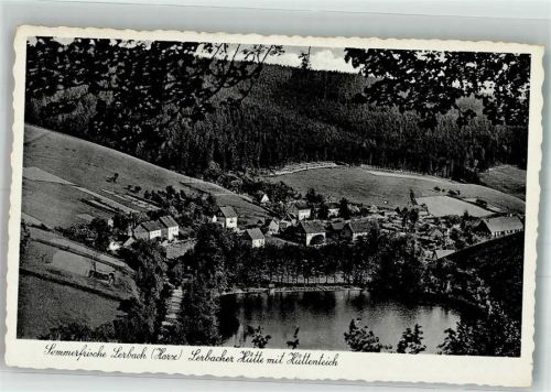 Lerbach Hüttenteich