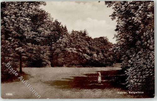 58553 W5884 Halver - Bergwiese