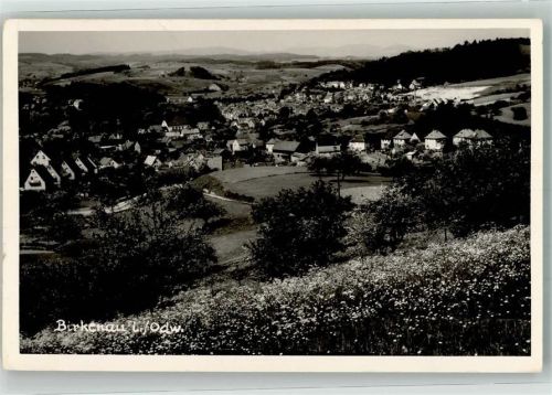 69488 W6943 Birkenau , Odenw Privatfoto AK Panorama des Ortes