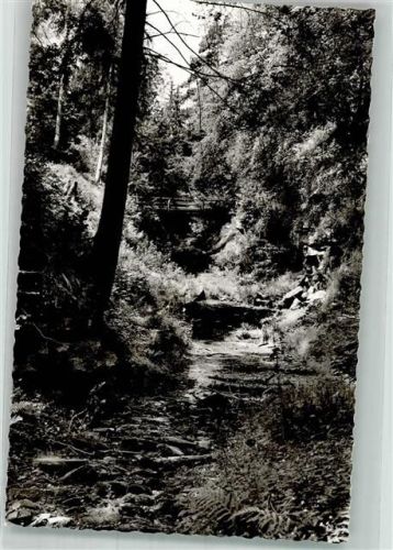Wildberg