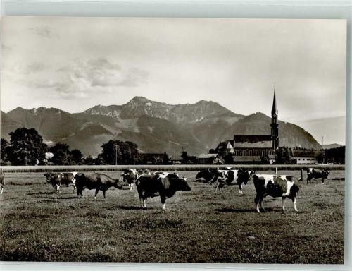 Übersee Weidende Rinder vor der Pfarrkirche St. Nikolaus mit dem Hochgern