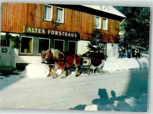 Kamschlacken Pferdeschlitten vor Hotel Altes Forsthaus