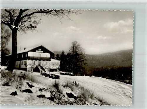 Waldmünchen Hotel Pension Waldcafe im Winter