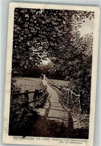 Bad Suderode Waldweg nach Stecklenberg ü.d. Elfenwiese