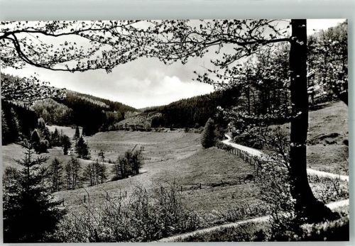 Willingen Blick ins Hoppecketal