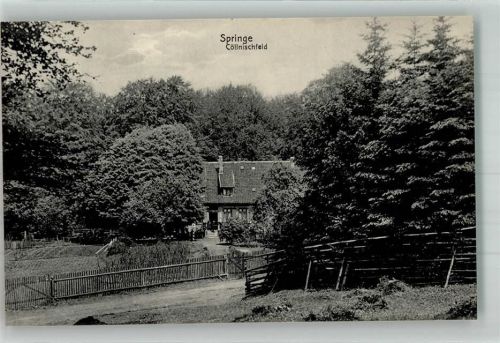 Springe Cöllnischfeld