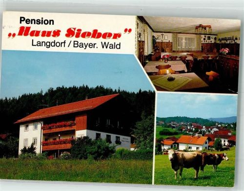 Langdorf 1999 Pension Haus Sieber