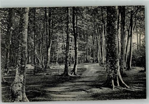 Zinnowitz Emma's Waldhalle Verlag Mohr & Dutzauer 8187