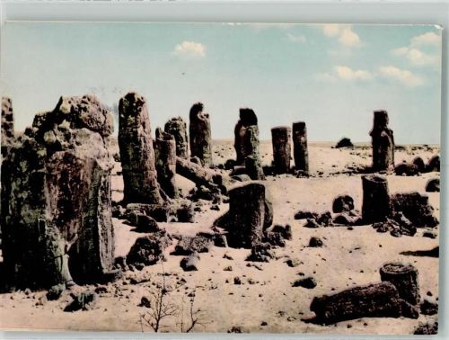 Varna 1965 Versteinerter Wald