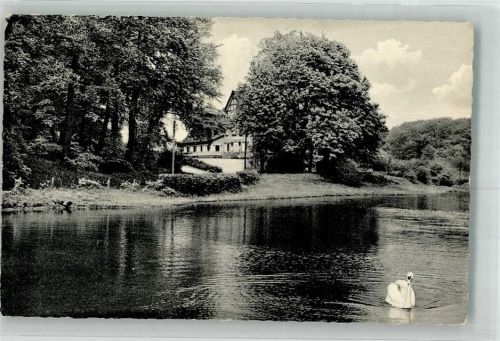 Itzehoe Forellenbach Schwan mit Gasthaus Klosterbrunnen
