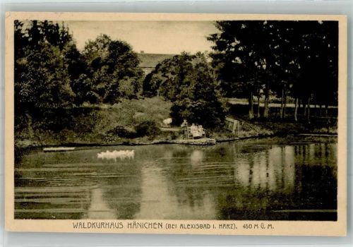 Hänichen 1926 Waldkurhaus Hänichen Verlag Louis Glaser