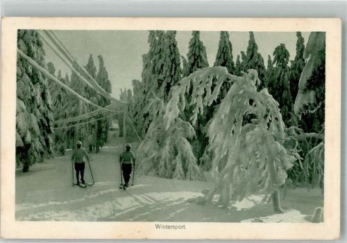 1917 Winter Skiwanderer K.D. Feldpoststation Nr. 253 Bespannungs Abteilung 3. Zug