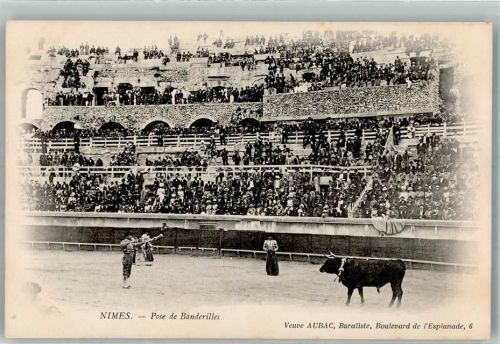 Nimes Torero zeigt in der Arena seine Banderillas