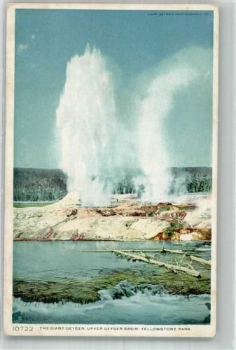 The Giant Geyser Upper Geyser Basin im Yellowstone Park USA