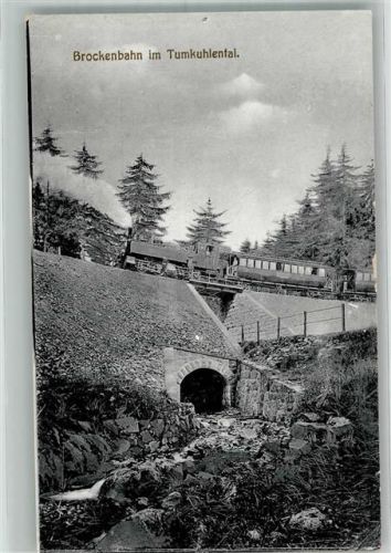 Wernigerode Brockenbahn im Tumkuhlental