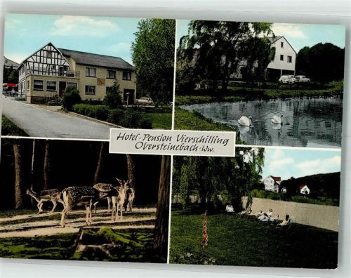 Obersteinebach Pension Vierschilling