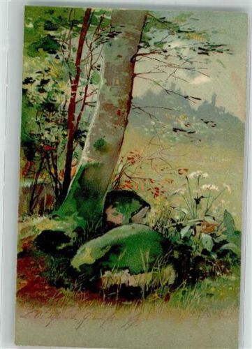 1905 Findlinge am Fuße eines Baumstammes