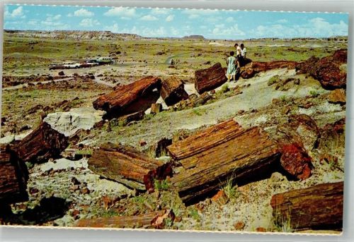 Petrified Forest National Park Arizona Oldtimer Versteinerte Bäue