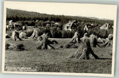 Kipsdorf 1941 Aufgeschichtete Heuschober vor dem Ort Ort lt. Stempel