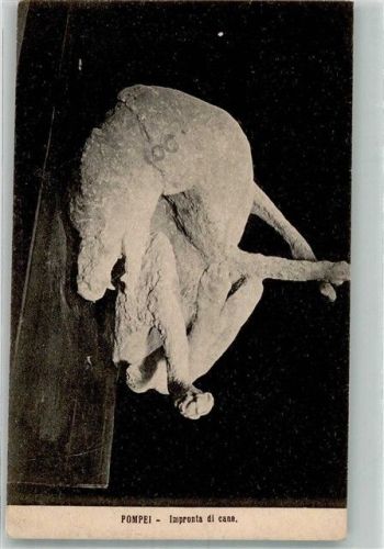 Pompei e Scavi Versteinerter Hund
