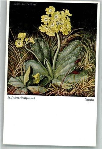 Aurikel Verlag Bernhard Huber Serie 3 Nr. 122
