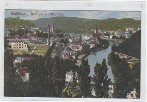 Waldheim Waldheim mit Blick von der Alberthöhe. Karte beschrieben Gute Erhaltung.