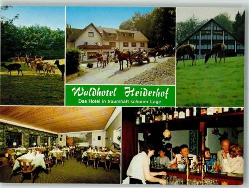 Obersteinebach Waldhotel Heiderhof