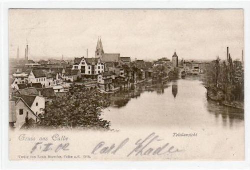 Calbe mit Totalansicht gelaufen von 1902. Gute Erhaltung.