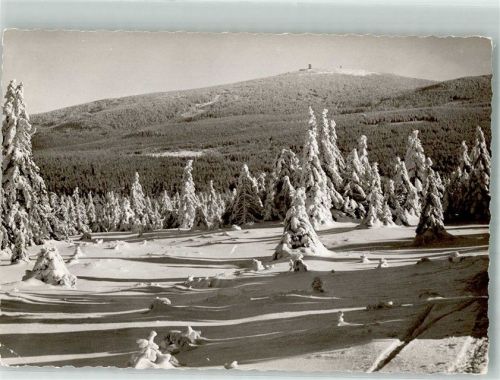 Torfhaus Verschneite Tannenwälder unterhalb vom Brocken Foto Original aus Archiv eines Ansichtskartenverlags Ort handschriftlich