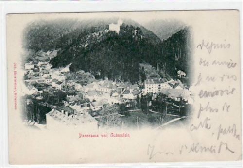 AK Panorama von Gutenstein gelaufen am 21.06.1901. Leichter Bug unten rechts, sonst gut erhalten.