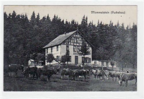 Fuchsbau Mommelstein gelaufen von 1919, Marke entfernt. Gute Erhaltung.