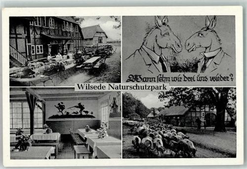 29646 W3045 Wilsede , Kr Soltau - Gasthaus Heidemuseum Schafsherde Pferde vermenschtlicht Anzug Terrasse