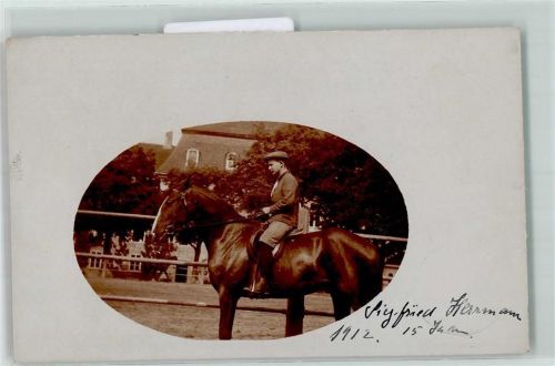 Torgau 1912 Pferd Siegfried Herrmann Ort lt. Stempel
