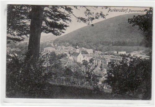 AK von Purkersdorf. ein Panorama gelaufen am 30.04.1920. Leicht stockfleckig, sonst gut erhalten.